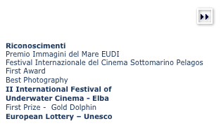 (more)￼



Riconoscimenti 
Premio Immagini del Mare EUDIFestival Internazionale del Cinema Sottomarino Pelagos First Award
Best Photography 
II International Festival of
Underwater Cinema - ElbaFirst Prize -  Gold Dolphin
European Lottery – Unesco