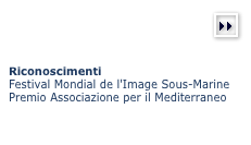 (more)￼



Riconoscimenti Festival Mondial de l'Image Sous-Marine
Premio Associazione per il Mediterraneo