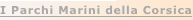 shapeimage_4_link_4