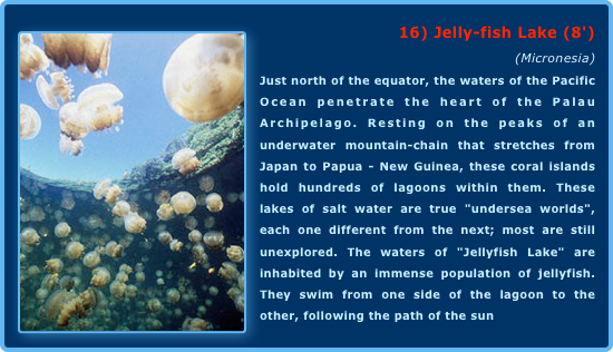 ￼16) Jelly-fish Lake (8')
(Micronesia)Just north of the equator, the waters of the Pacific Ocean penetrate the heart of the Palau Archipelago. Resting on the peaks of an underwater mountain-chain that stretches from Japan to Papua - New Guinea, these coral islands hold hundreds of lagoons within them. These lakes of salt water are true "undersea worlds", each one different from the next; most are still unexplored. The waters of "Jellyfish Lake" are inhabited by an immense population of jellyfish. They swim from one side of the lagoon to the other, following the path of the sun   