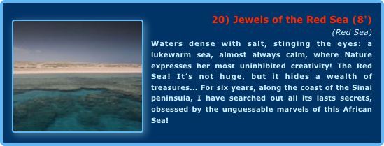 ￼20) Jewels of the Red Sea (8')
(Red Sea)Waters dense with salt, stinging the eyes: a lukewarm sea, almost always calm, where Nature expresses her most uninhibited creativity! The Red Sea! It’s not huge, but it hides a wealth of treasures... For six years, along the coast of the Sinai peninsula, I have searched out all its lasts secrets, obsessed by the unguessable marvels of this African Sea!  