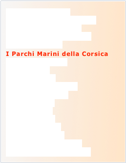 I Racconti del Mare
Mondi Sottomarini (23 x7')
Nel Regno della Piovra 
Il Ritorno della Tartaruga
Il Mare di Marmo
I Parchi Marini della Corsica
Viaggio nelle Eolie
Mare d'Africa
Mediterraneo:
da Ponza a... Panarea
la Passione del Blu
Oasi di Corallo 
Ocean Planet
Grandi Ombre
in Fondo al Mare
Vento di Mykonos
Vero o Falso? (40 x 6')
A Proposito di... (85 x 6')