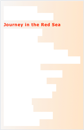 Tales of the Sea
Underwater Adventures
Journey in the Red Sea
A Passion for Blue 
Five Adventures
the Return of the Turtle
Journey in the Aeolian Islands 
in the Kingdom of the Giant Octopus
the Sea of Marble
The Marine Parks of Corsica
Mediterranean Sea:
from Ponza to Taormina
from Puglia to Panarea
A Coral Oasis 
Ocean Planet
Shadows under the Sea
Wind of Mykonos
