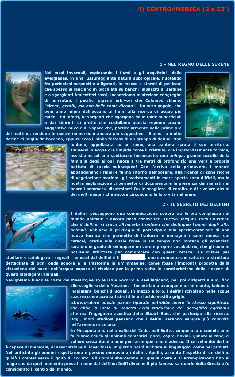  4) CENTROAMERICA (2 x 52’)




1 - NEL REGNO DELLE SIRENE
￼Nei mesi invernali, esplorando i fiumi e gli acquitrini￼ delle everglades, in una lussureggiante natura subtropicale, nuotando fra pericolosi serpenti e alligatori, in mezzo a stormi di pellicani che spesso si lanciano in picchiata su banchi impazziti di sardine e a sgargianti fenicotteri rossi, incontriamo misteriose congreghe di lamantini, i pacifici giganti erbivori che Colombò chiamò “sirene, gentili, ma non belle come dicono”.  Un vero popolo, che ogni anno migra dall’oceano ai fiumi alla ricerca di acque più calde.  Ed infatti, le sorgenti che sgorgano dalle falde superficiali e dai labirinti di grotte che costellano questa regione creano suggestive nuvole di vapore che, particolarmente nelle prime ore del mattino, rendono le nostre immersioni ancora più suggestive.  Siamo  a molte decine di miglia dall’oceano, eppure ecco il sibilo festoso di un gruppo di delfini! ￼Non lontano, appollaiata su un ramo, una pantera scruta il suo territorio. Immersi in acque ora limpide come il cristallo, ora improvvisamente torbide, assistiamo ad uno spettacolo inconsueto: una aninga, grande uccello della famiglia degli aironi, nuota a tre metri di profondità: una vera e propria battuta di caccia subacquea! Con l’arrivo della primavera, i manati abbandonano i fiumi e fanno ritorno nell’oceano, alla ricerca di zone ricche di vegetazione marina:  gli avvistamenti in mare aperto sono difficili, ma la nostra esplorazione ci permette di documentare la presenza dei manati nei pascoli sommersi disseminati fra le scogliere di corallo, e di rivelare alcuni dei molti misteri che ancora circondano la loro vita nel mare.
2 - IL SEGRETO DEI DELFINI
￼I delfini posseggono una comunicazione sonora tra le più complesse nel mondo animale e ancora poco conosciuta. Diceva Jacques-Yves Cousteau che il delfino si trova all’incerta frontiera che distingue l’uomo dagli altri animali. Abbiamo il privilegio di partecipare alla sperimentazione di una nuova tecnica che permette di tradurre in immagini i suoni emessi dai cetacei, grazie alla quale forse in un tempo non lontano gli scienziati saranno in grado di sviluppare un vero e proprio vocabolario, che gli uomini potranno utilizzare per comunicare con questi cetacei. La chiave per studiare e catalogare i segnali   emessi dai delfini è il CymaScope, uno strumento che cattura la struttura dettagliata di ogni onda sonora e la trasforma in un'immagine, come fosse l'impronta prodotta dalla vibrazione dei suoni nell'acqua: capace di rivelare per la prima volta le caratteristiche della «voce» di questi intelligenti animali.Navighiamo lungo le coste del Messico,verso le isole Socorro e Revillagigedo, per poi dirigerci a sud, fino alle scogliere dello Yucatan.   ￼Incontriamo ovunque enormi mante, balene e inquietanti banchi di squali. In mezzo a loro, i delfini scivolano nelle acque azzurre come acrobati stretti in un lucido vestito grigio.«Interpretare queste parole figurate potrebbe avere lo stesso significato che ebbe la Stele di Rosetta nella traduzione dei geroglifici egiziani» afferma l'ingegnere acustico John Stuart Reid, che partecipa alla ricerca.  Oggi, molti studiosi pensano che i delfini saranno sempre più coinvolti nell’avventura umana. 
In Mesopotamia, nella valle dell’Indo, nell’Egitto, cinquemila o seimila anni fa l’uomo educò gli animali domestici: porci, capre, bovini. Quanto al cane, ci vollero sessantamila anni per farne quel che è adesso. Il cervello dei delfini è capace di memoria, di associazione di idee; forse un giorno potrà arrivare al linguaggio, come nei primati. Nell’antichità gli uomini rispettarono e persino onoravano i delfini. Apollo, assunto l’aspetto di un delfino guidò i cretesi verso il golfo di Corinto. Gli uomini sbarcarono su quella costa e si arrampicarono fino al luogo che da quel momento prese il nome dal delfino: Delfi divenne il più famoso santuario della Grecia e fu considerato il centro del mondo.