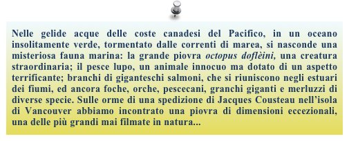 Nelle gelide acque delle coste canadesi del Pacifico, in un oceano insolitamente verde, tormentato dalle correnti di marea, si nasconde una misteriosa fauna marina: la grande piovra octopus doflèini, una creatura straordinaria; il pesce lupo, un animale innocuo ma dotato di un aspetto terrificante; branchi di giganteschi salmoni, che si riuniscono negli estuari dei fiumi, ed ancora foche, orche, pescecani, granchi giganti e merluzzi di diverse specie. Sulle orme di una spedizione di Jacques Cousteau nell’isola di Vancouver abbiamo incontrato una piovra di dimensioni eccezionali, una delle più grandi mai filmate in natura... 