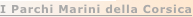 shapeimage_5_link_4