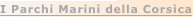 shapeimage_3_link_4