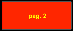  pag. 2